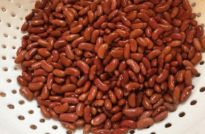 How to store soaked beans with the soaking water
