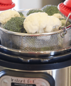 how to use a food steamer