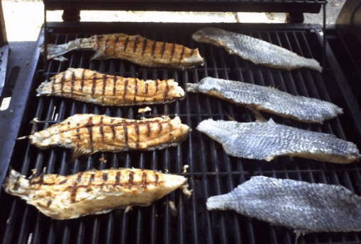 How to cook black drum fish in the oven