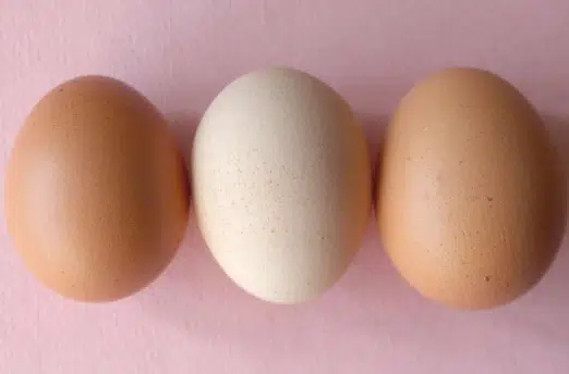How to Store Eggs Without Refrigeration