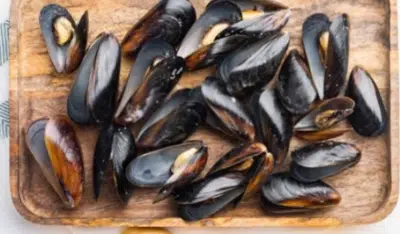 How Long Can You Freeze Cooked Mussels