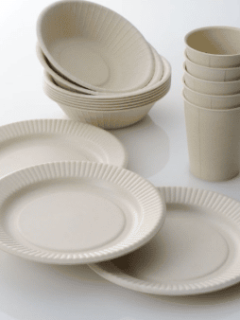 Eco Friendly Reusable Dinnerware