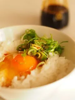 Anime Food Recipe