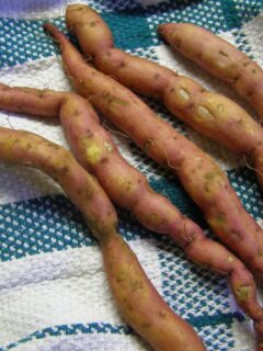 Fingerling Potatoes recipe