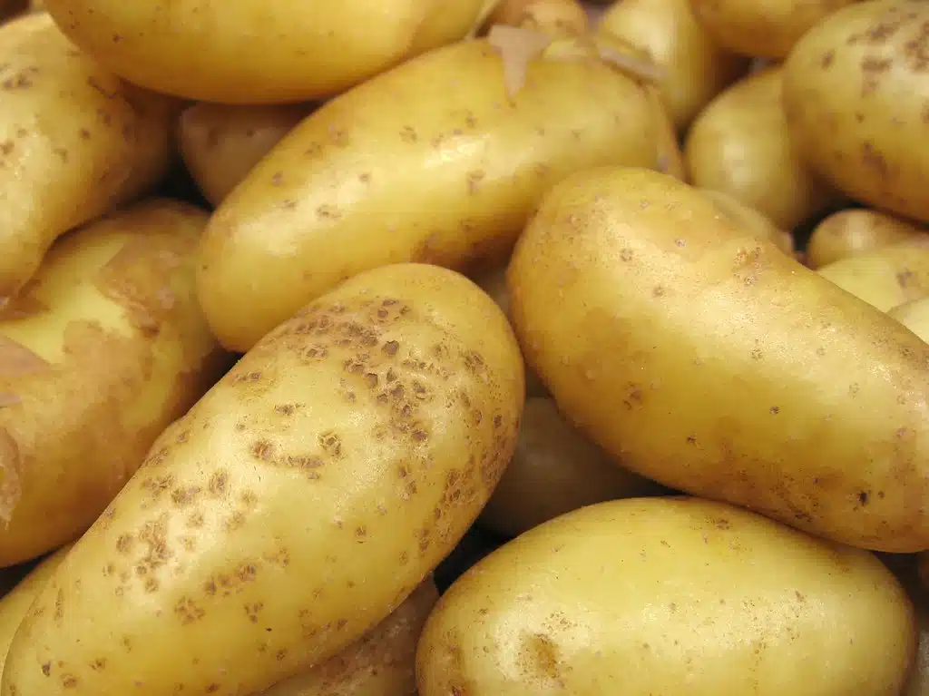 Fingerling Potatoes recipe2