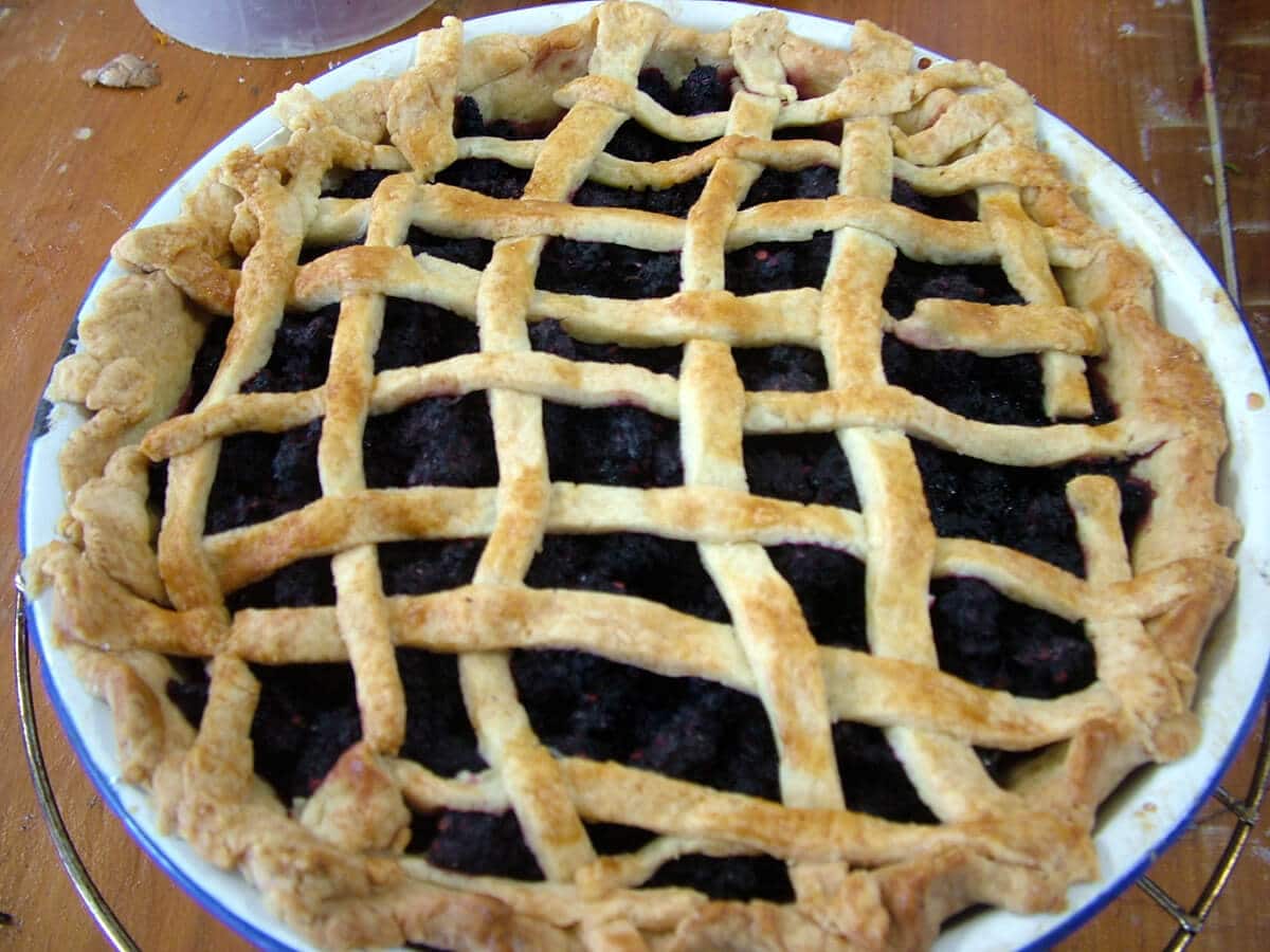 Mulberry Pie Recipe3