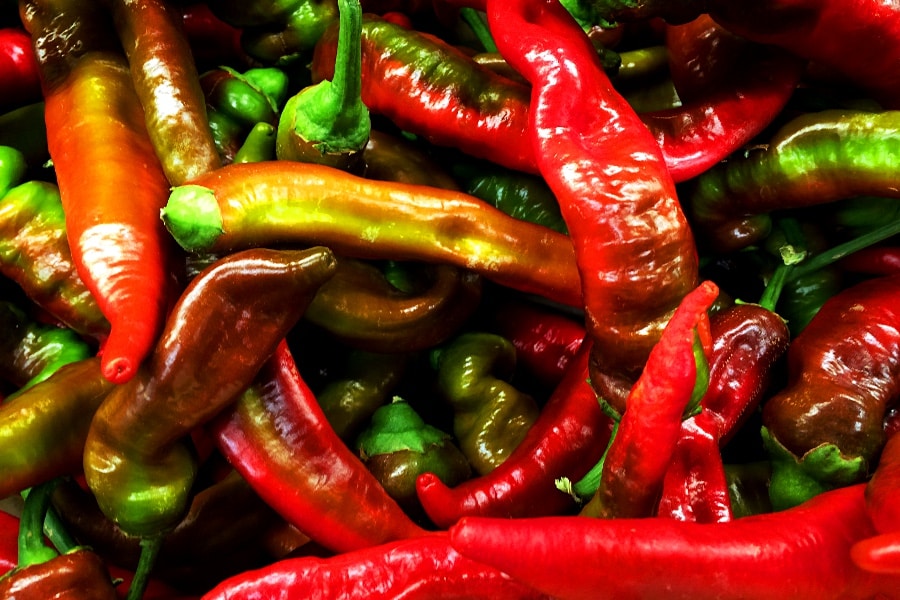 Jimmy Nardello Peppers Recipe