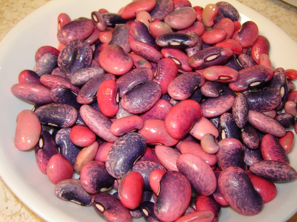 scarlet runner beans recipe