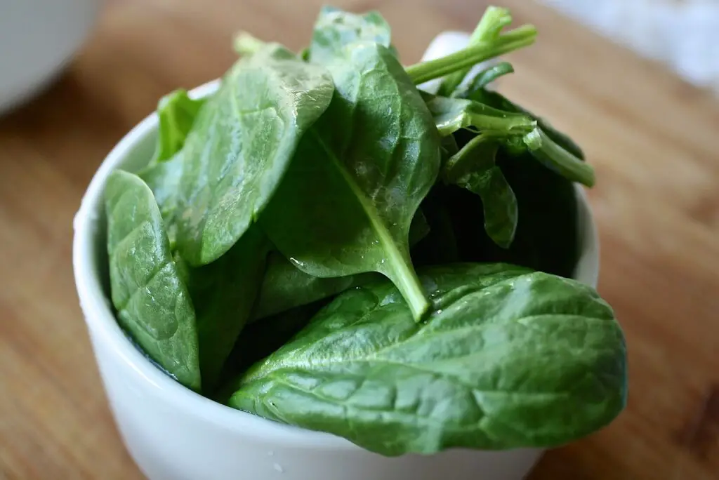 Spinach Wrap Recipe 3