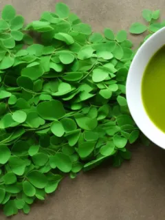 Moringa Leaves Recipe