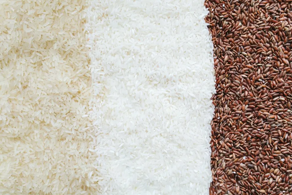 Can Raw Vegans Eat Rice