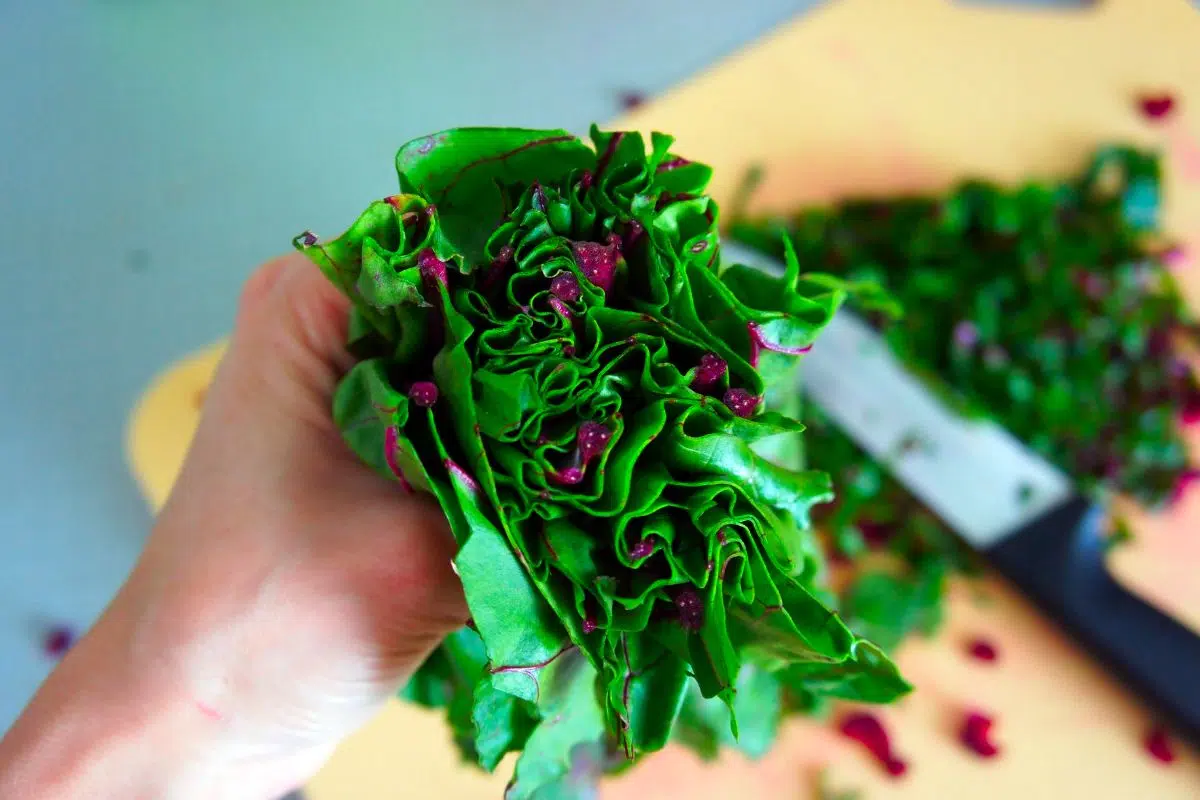Can You Eat Beet Leaves?
