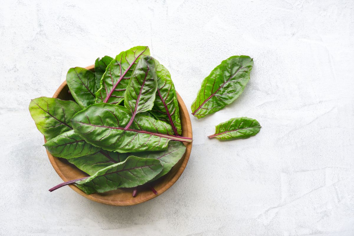 Can You Eat Beet Leaves?
