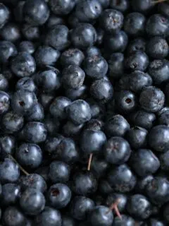 Can You Eat Blueberries Raw?