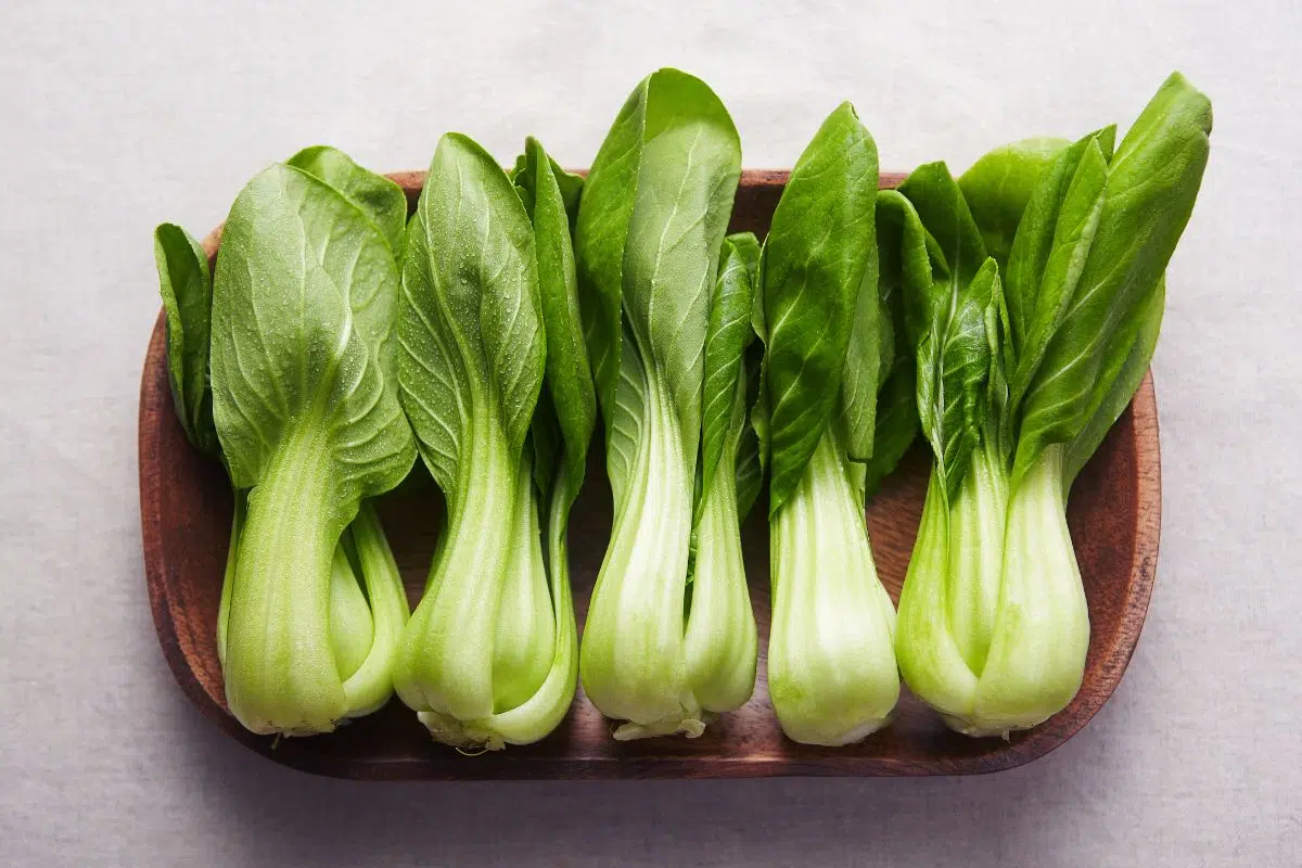 Can You Eat Bok Choy Raw?
