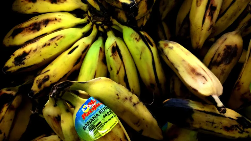 Can You Eat Burro Bananas Raw