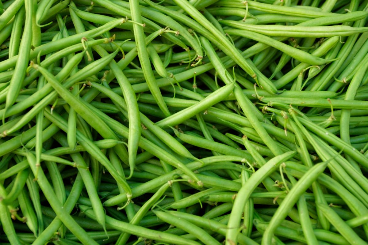 Can You Eat Green Beans Raw?
