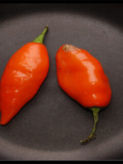 Can You Eat Habanero Peppers Raw