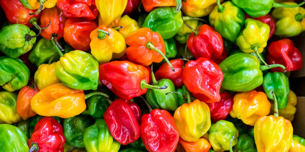 Can You Eat Mini Sweet Peppers Raw?