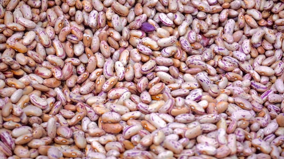 Can You Eat Purple Beans Raw? 