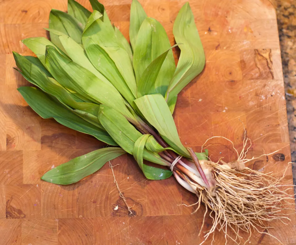 Can You Eat Ramps Raw