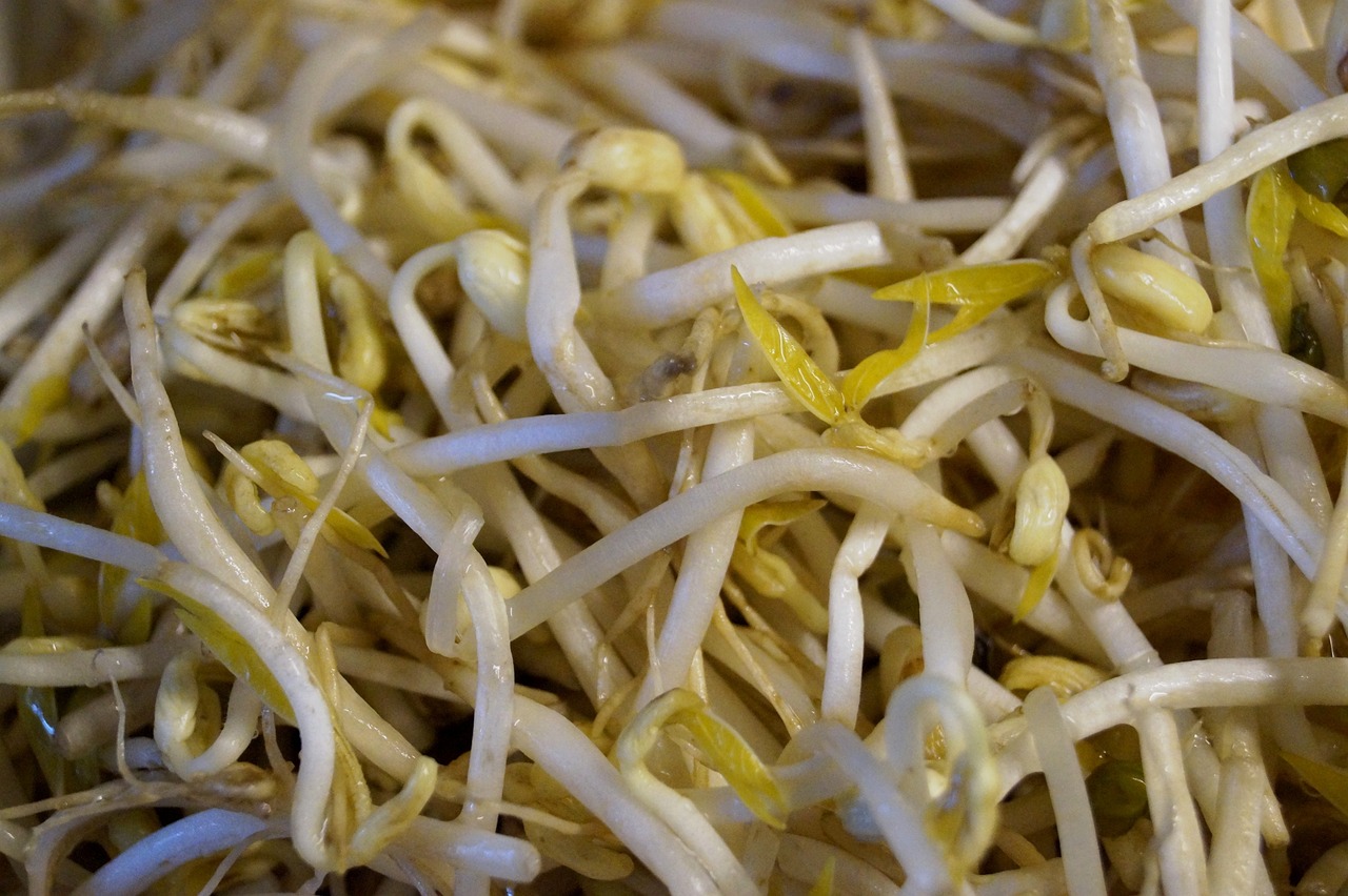 Can You Eat Raw Mung Bean Sprouts? 22