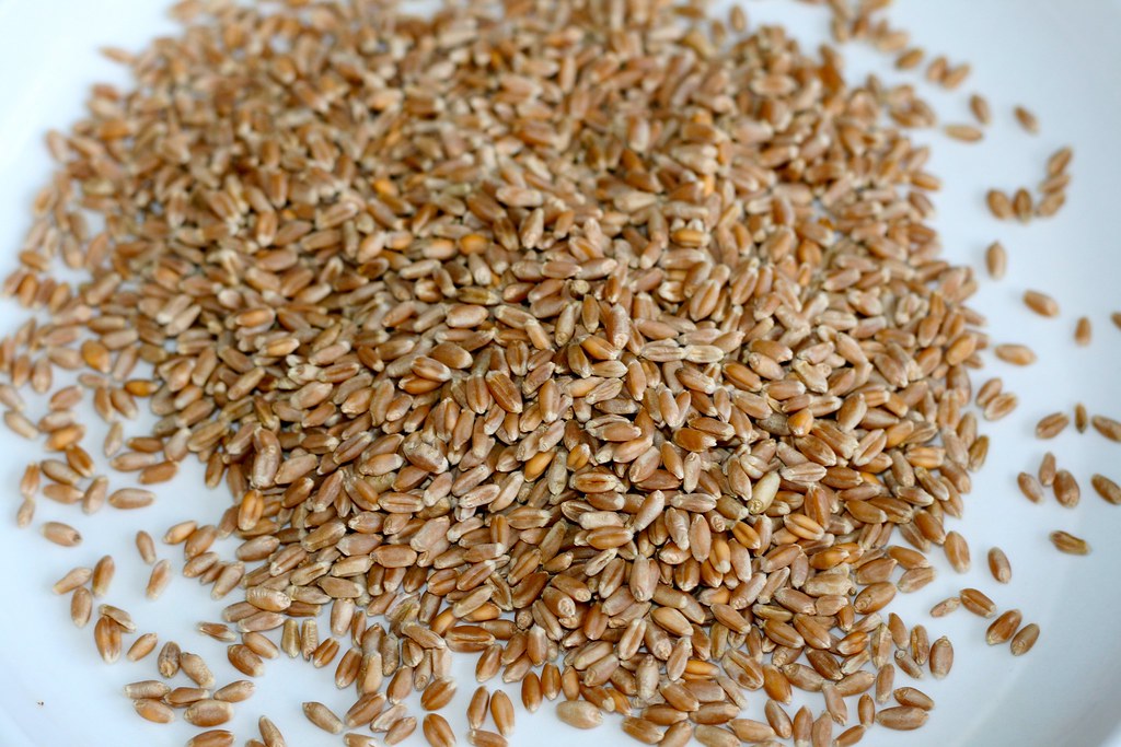 Can You Eat Wheat Berries Raw?