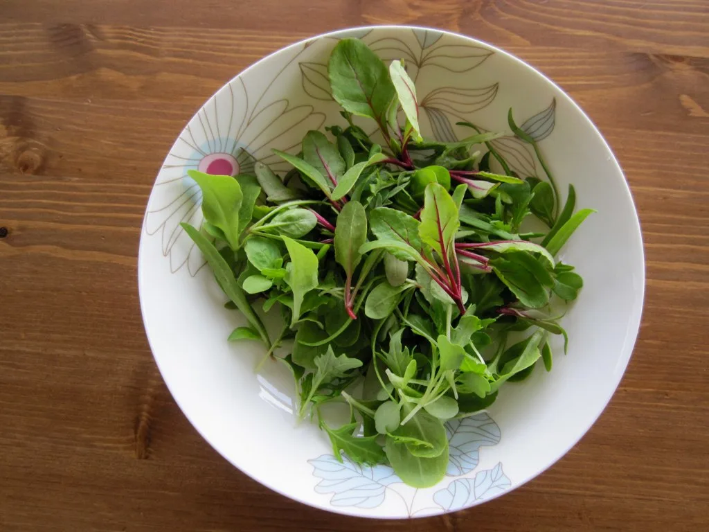 Homegrown Microgreens Salad