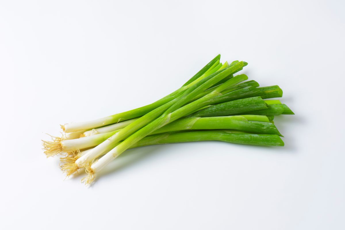 How To Freeze Green Onions