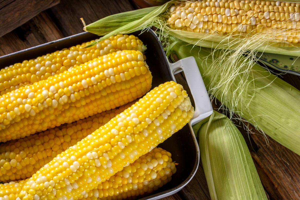 How To Keep Corn On The Cob Fresh 

