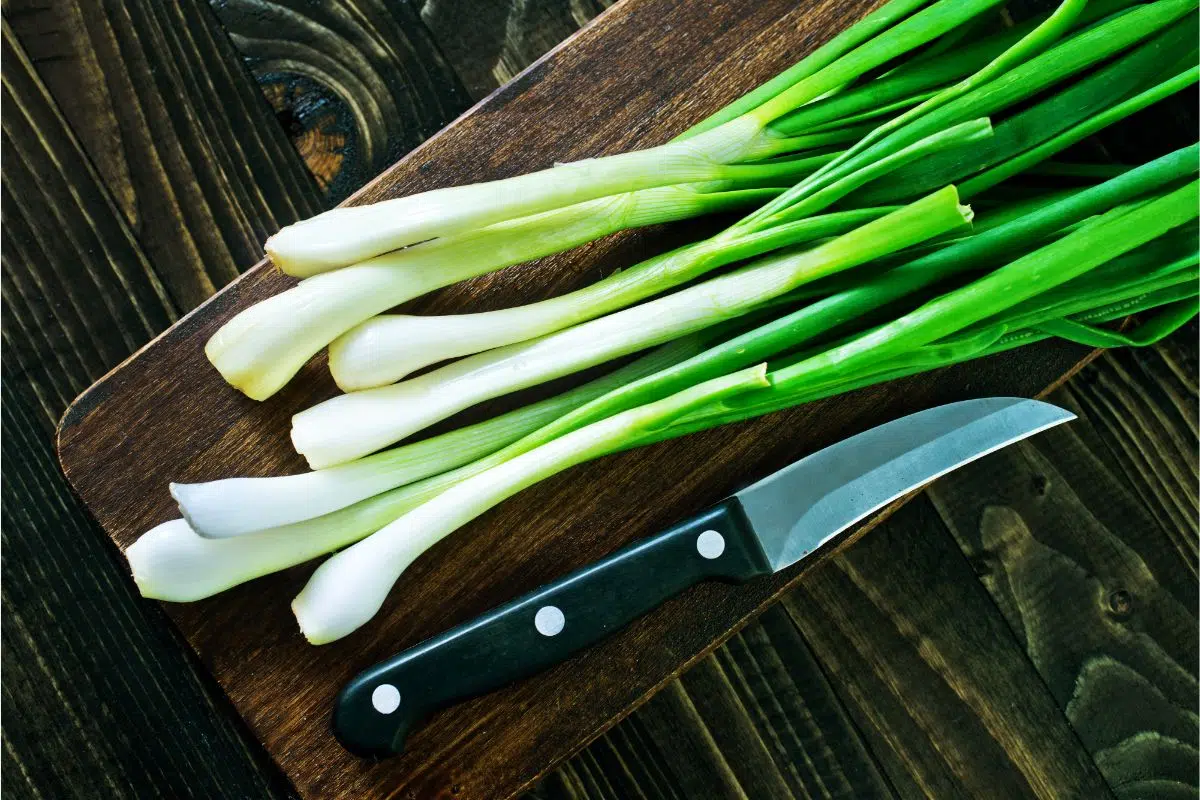 How To Store Green Onions
