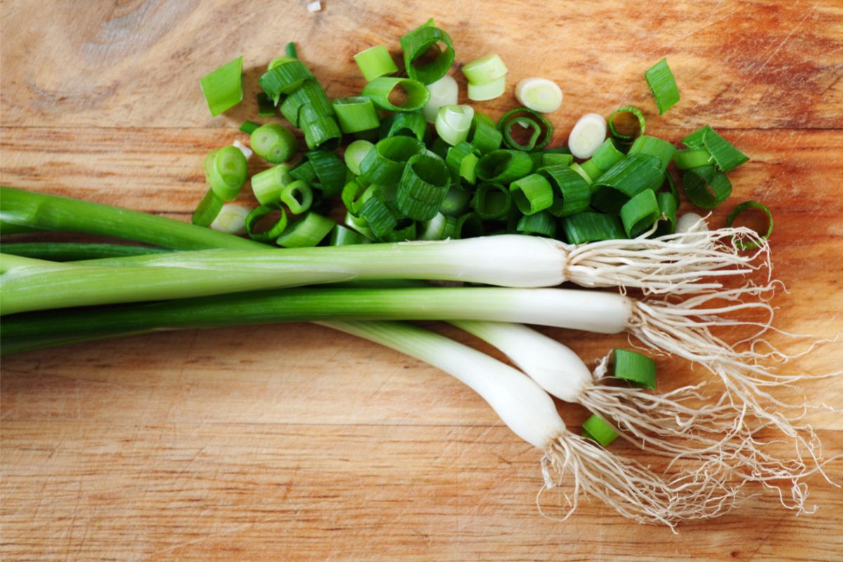 How To Store Green Onions