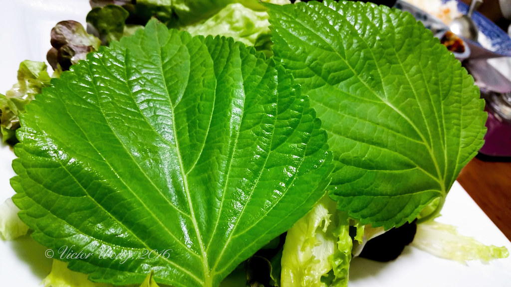 Can You Eat Perilla Leaves Raw