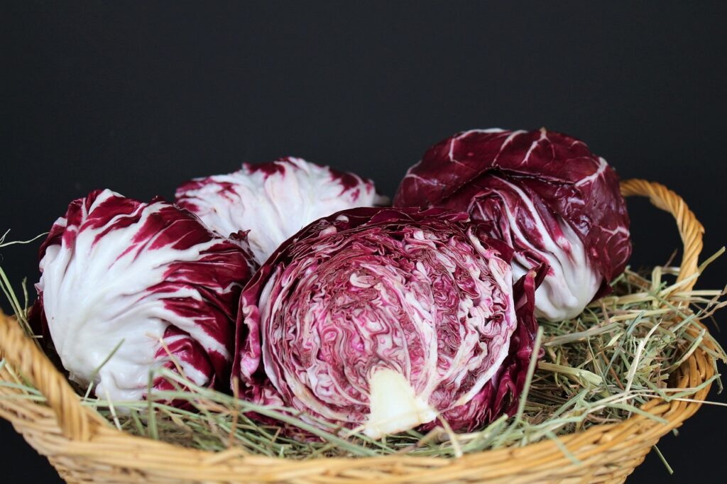 Red Cabbage2