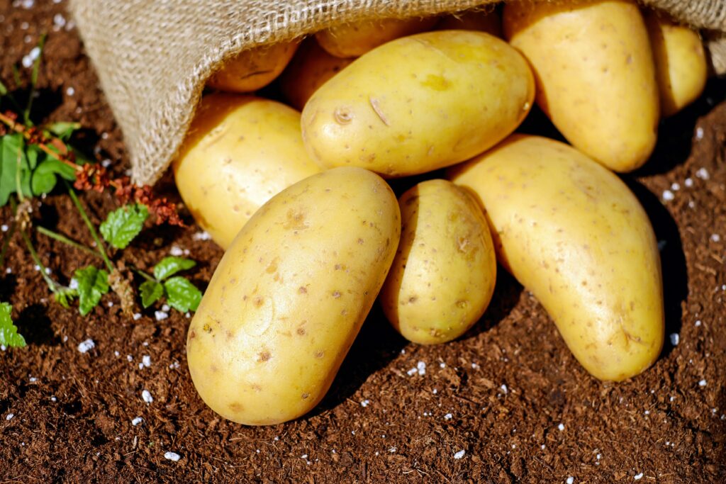 What Animals Eat Raw Potatoes?