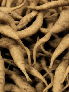What Happens If You Eat Raw Ginseng 3