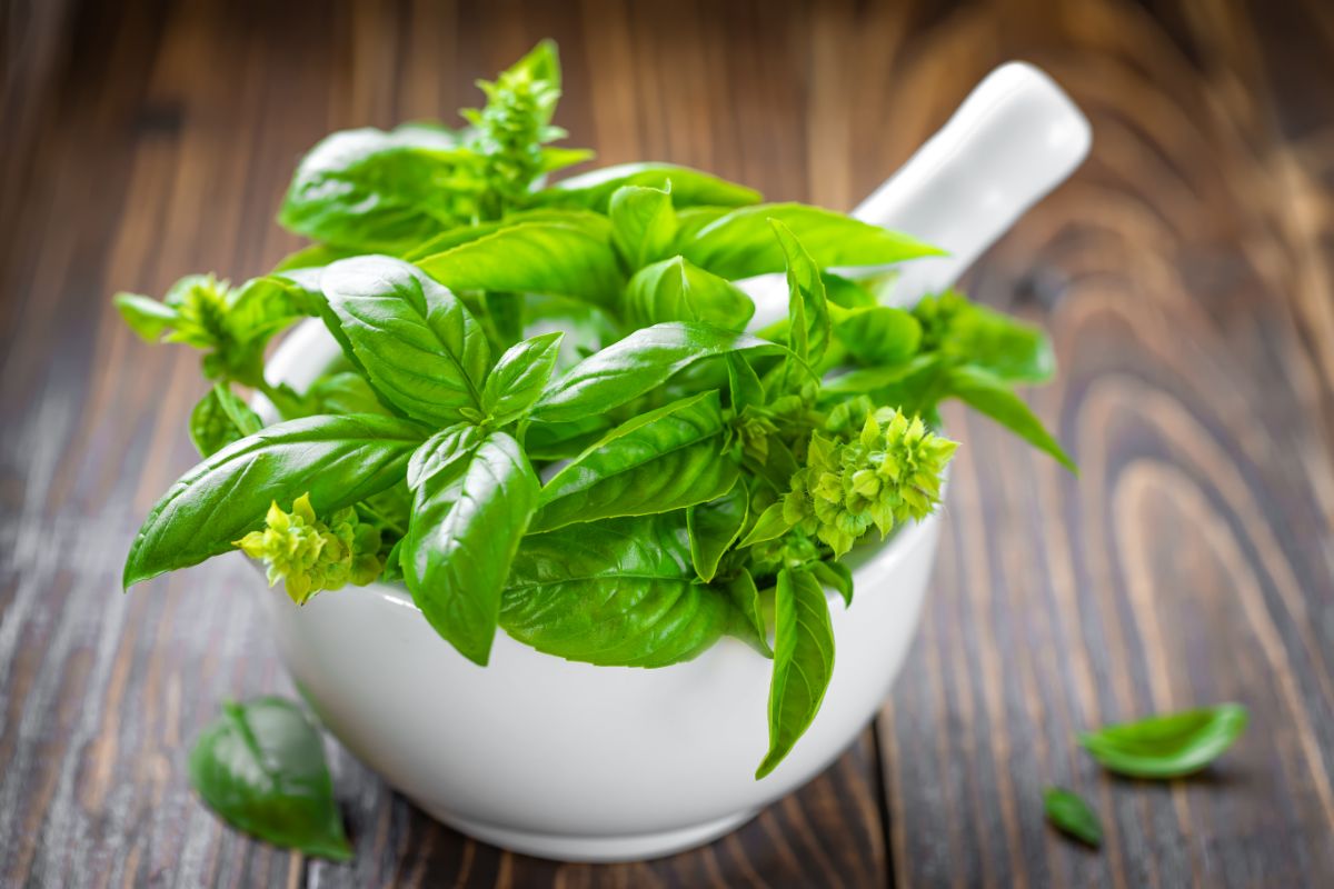 What To Do With Basil?