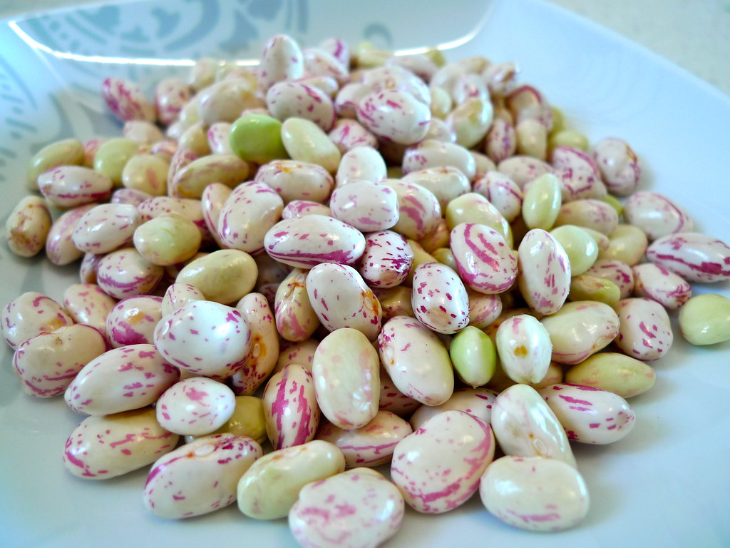 can you eat cranberry beans raw