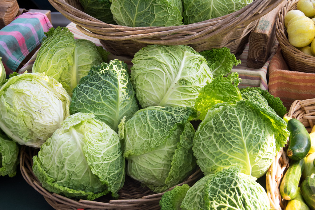 can you eat raw savoy cabbage