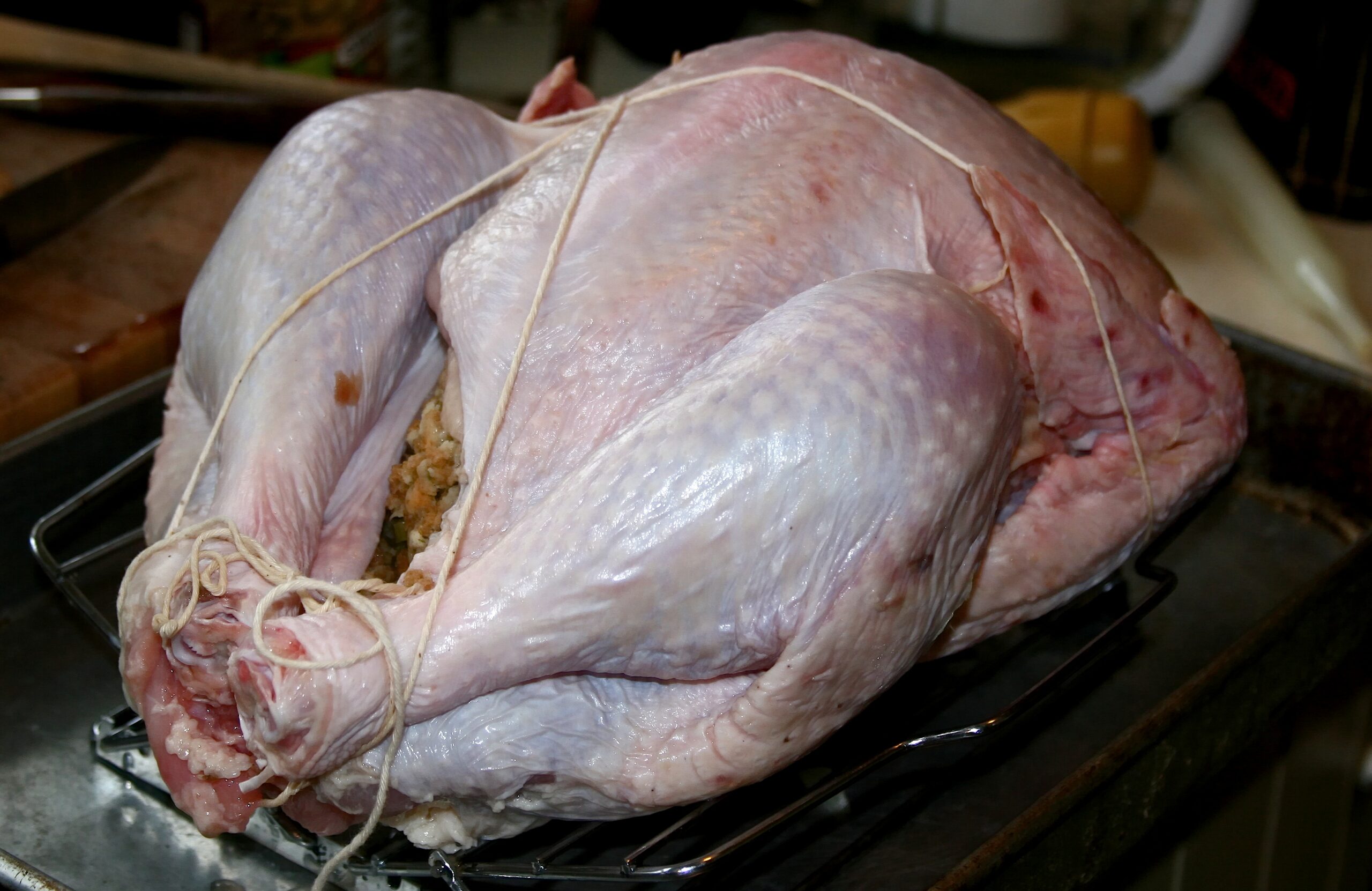 what happens if you eat raw turkey